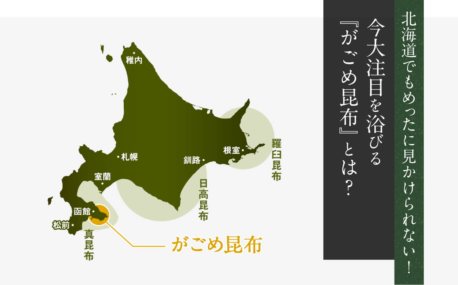 北海道でもめったに見かけられない！今大注目を浴びる「がごめ昆布」とは？