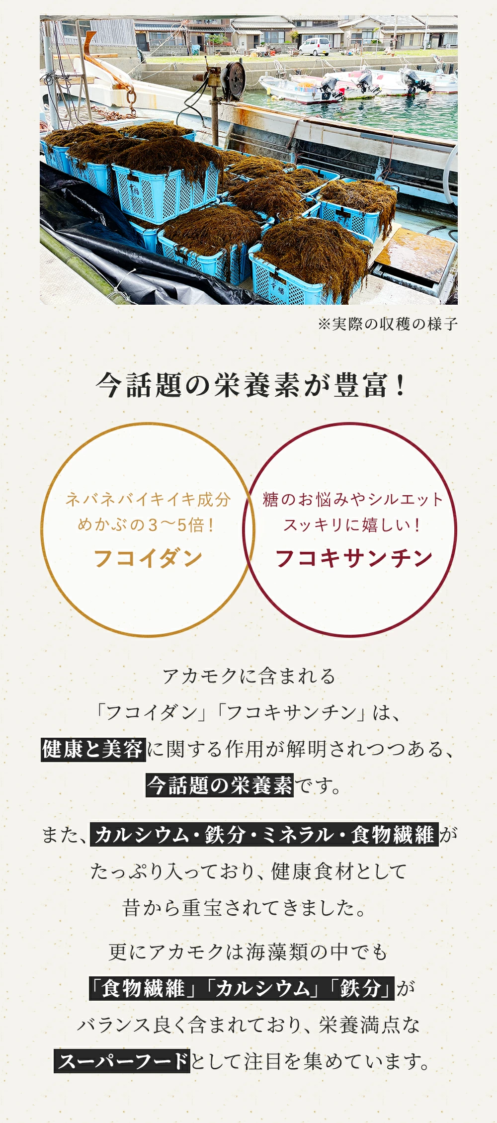 鉄人の松前漬け博多風の画像6