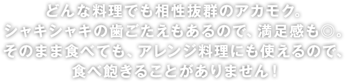 どんな料理でも相性抜群のアカモク。シャキシャキの歯ごたえもあるので、満足感も◎。そのまま食べても、アレンジ料理にも使えるので、食べ過ぎることがありません！