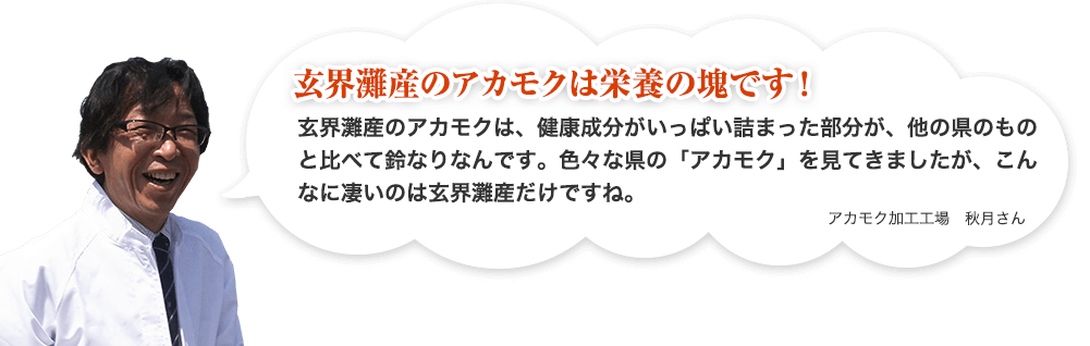 玄界灘産のアカモクは栄養の塊です！