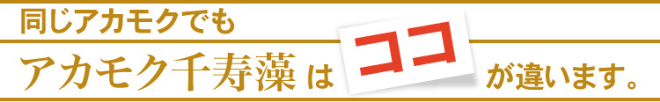 玄界灘産 天然アカモク 千寿藻の画像4