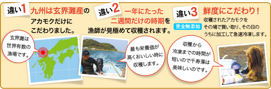 玄界灘産 天然アカモク 千寿藻の画像5