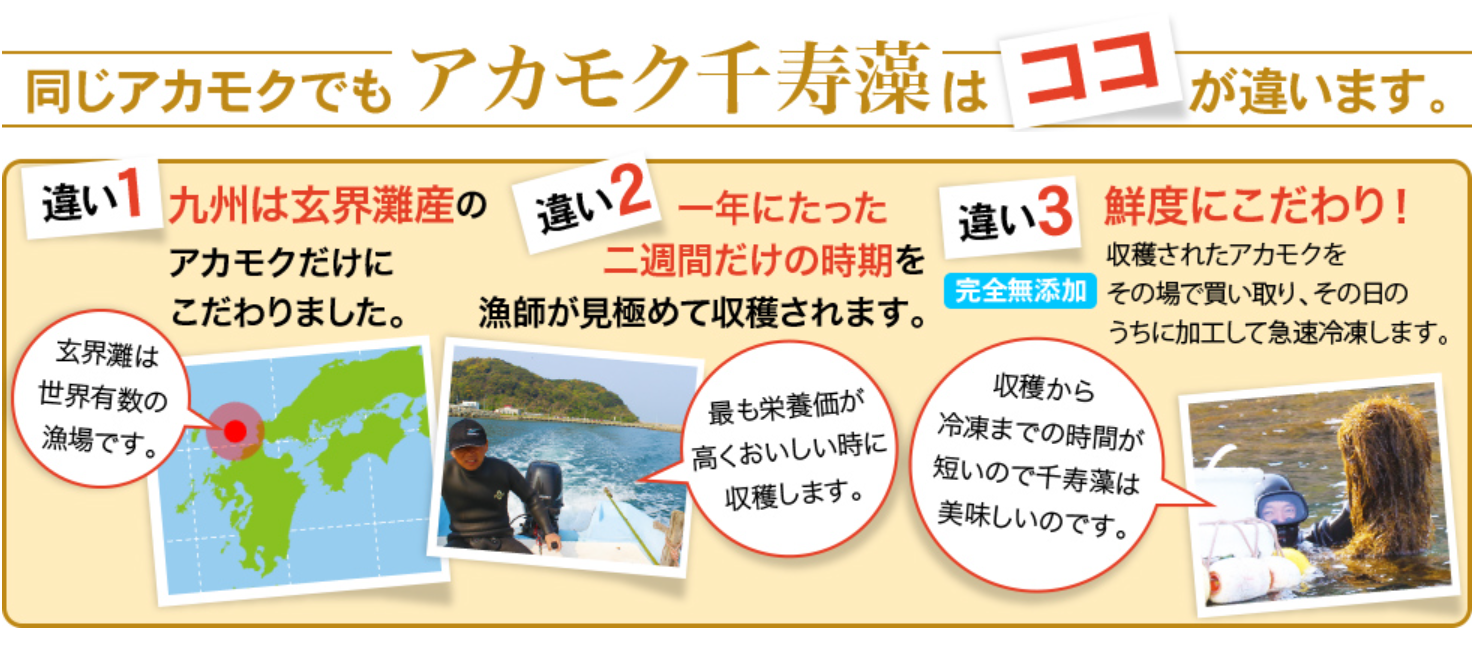 玄界灘産 天然アカモク 千寿藻の画像12